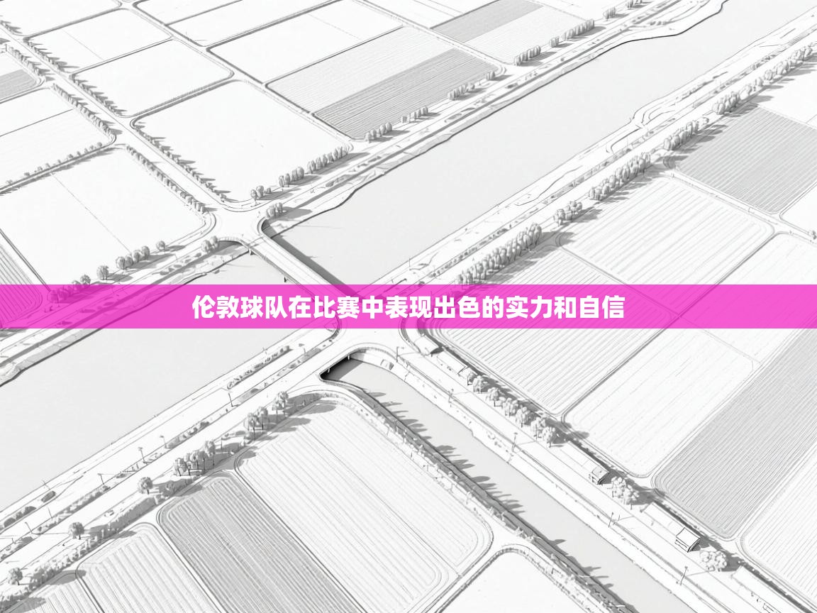 伦敦球队在比赛中表现出色的实力和自信  第1张