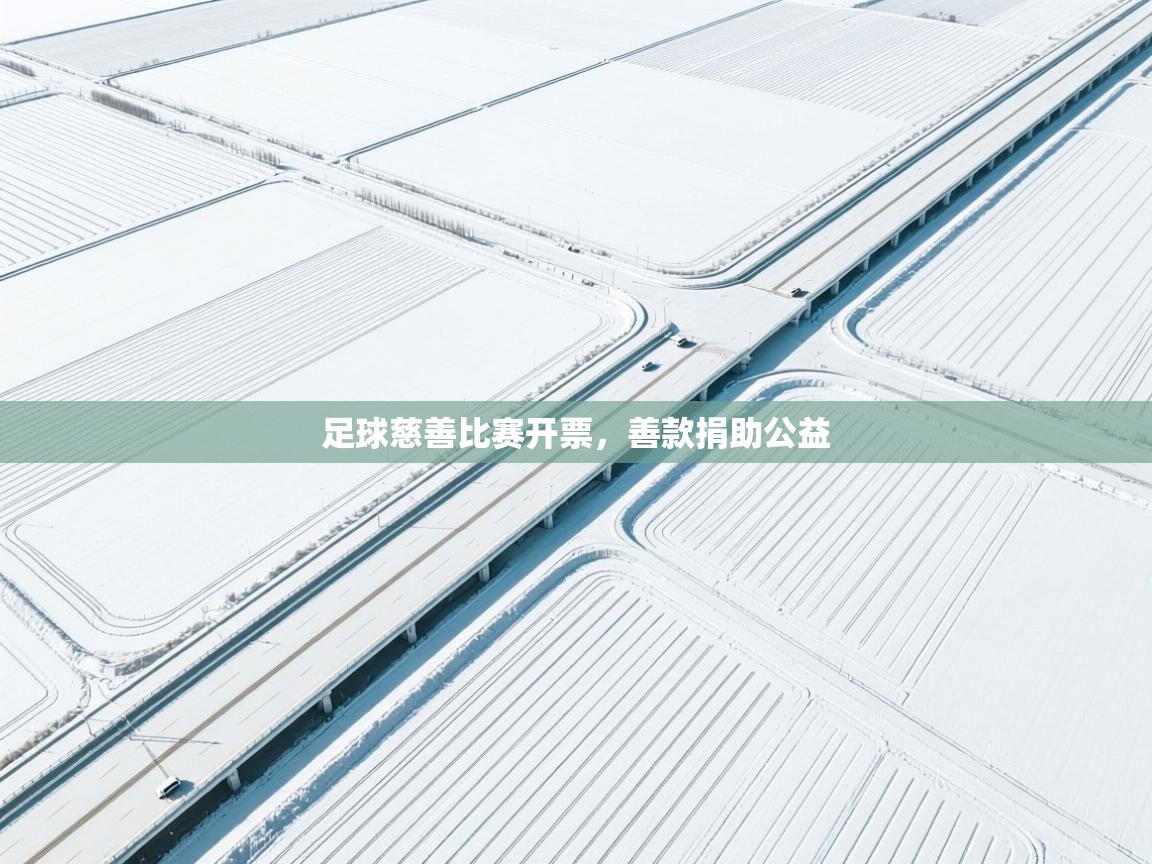 足球慈善比赛开票,善款捐助公益 第1张