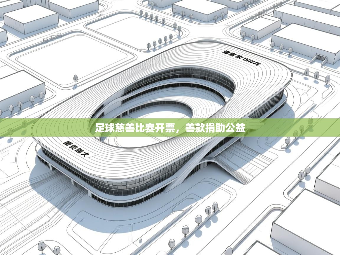 足球慈善比赛开票,善款捐助公益 第2张